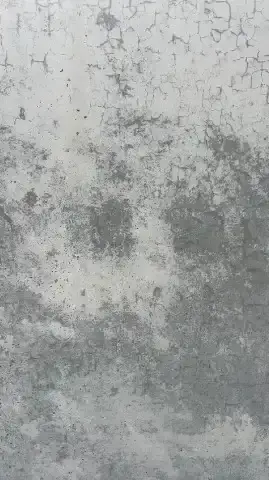 Efflorescence (White Deposits)